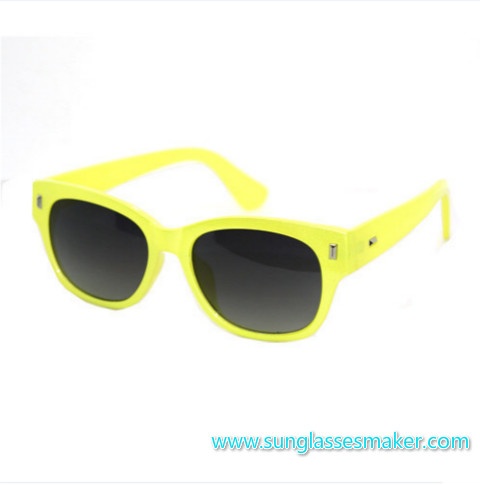Professional Fashion Sunglasses and Plastic Glasses of Promotion